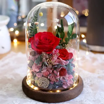 2sets/pachet 12*18cm Luminos Anitque Bază Cupolă de Sticlă Vaza Decor Acasă DIY Capac Transparent Prieten Cadou de Nunta Live Prop