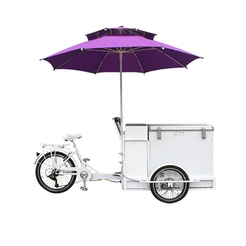 Moda Electric Adult Tricicleta Față de Sarcină inghetata Biciclete de Marfă de Înaltă Calitate Congelator pentru Vânzarea en-Gros Preț